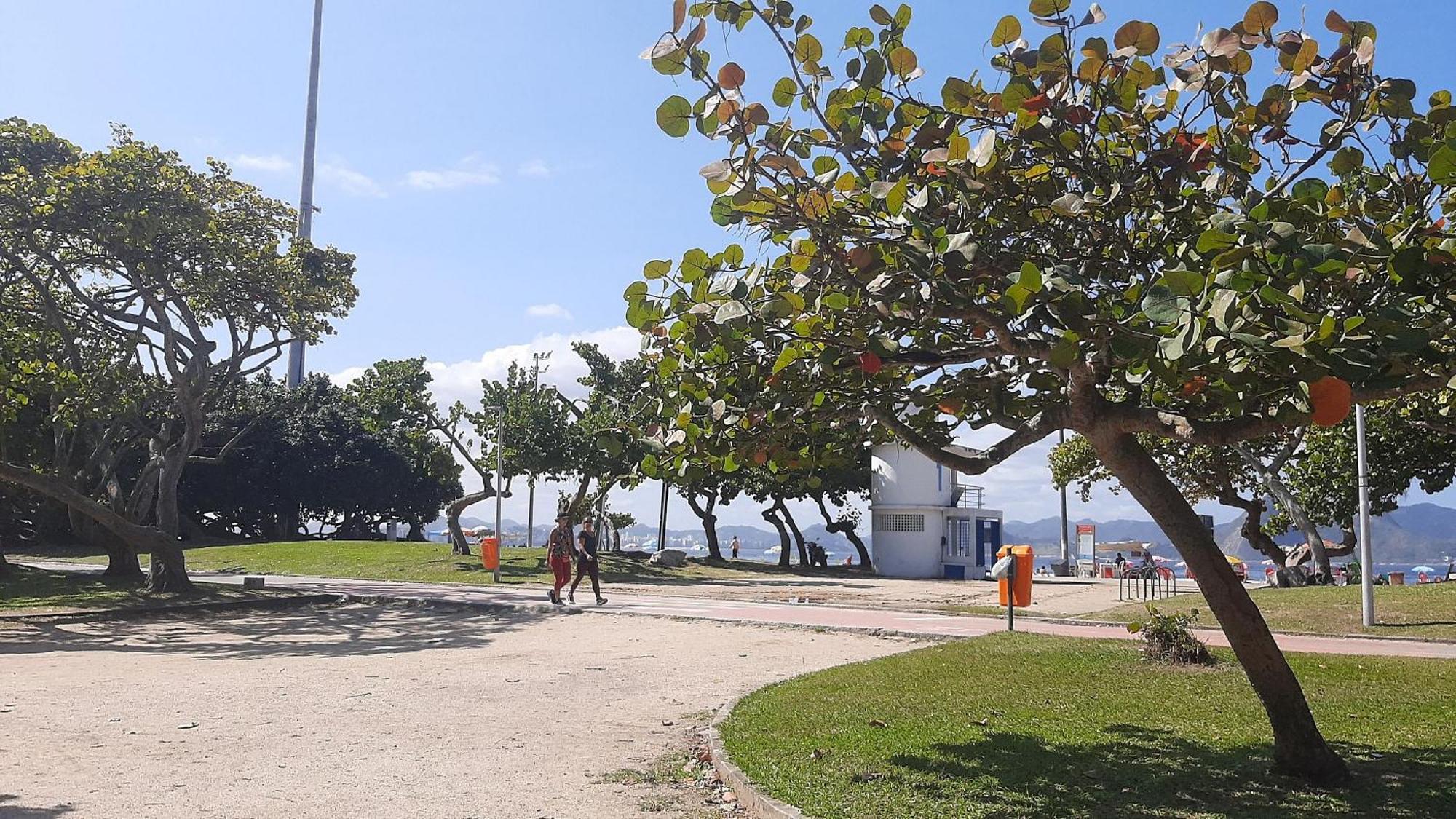 Apartamento Flamengo Design - 4 Hospedes, Privativo E Completo *